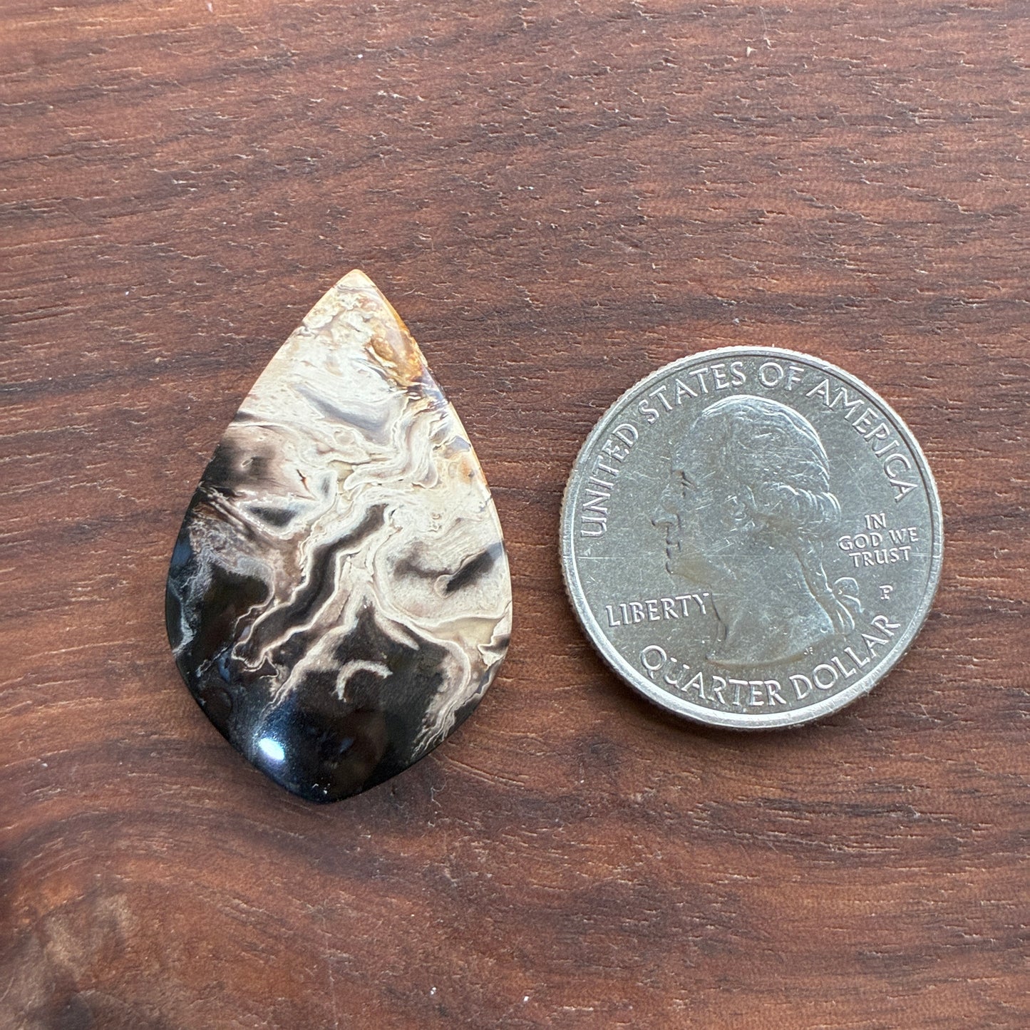 Indonesia Palm Root - Cabochon - Oval - Teardrop - Triangle - Round