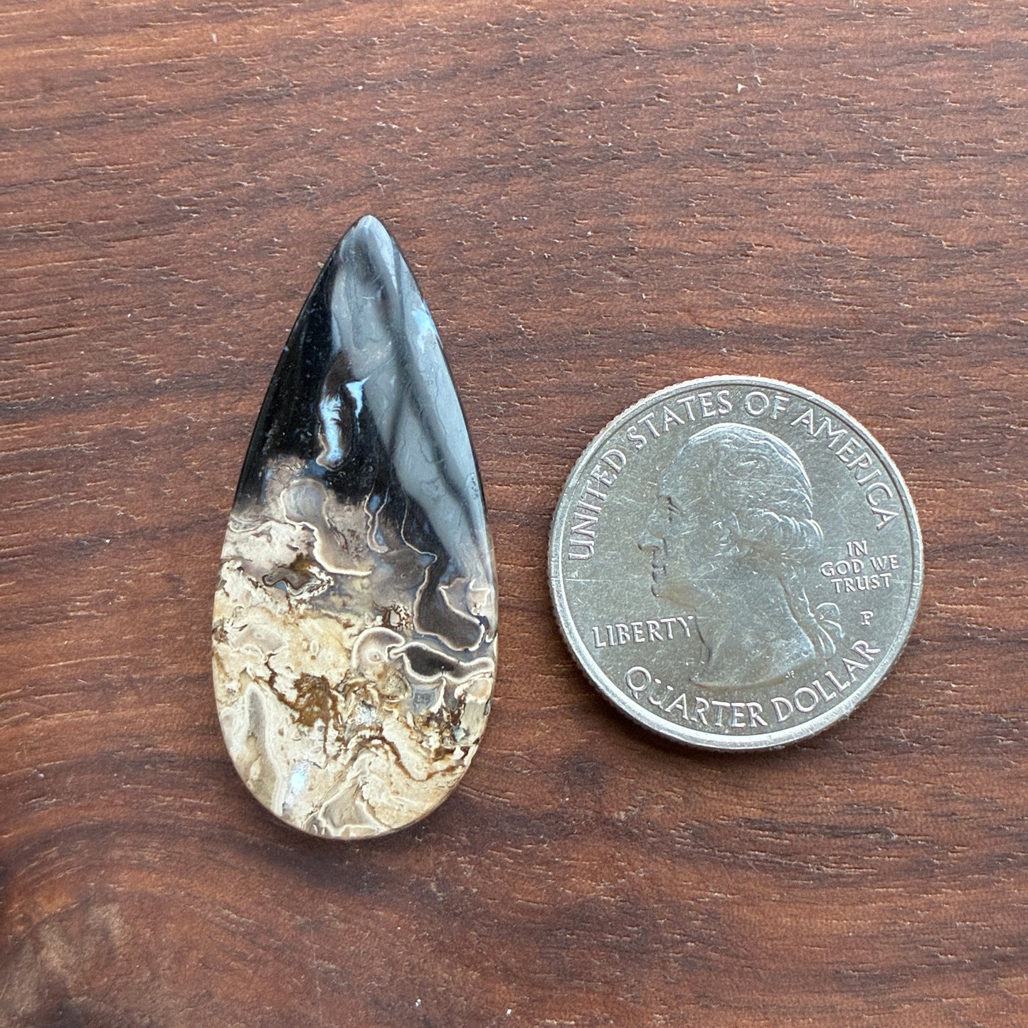 Indonesia Palm Root - Cabochon - Oval - Teardrop - Triangle - Round
