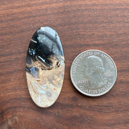 Indonesia Palm Root - Cabochon - Oval - Teardrop - Triangle - Round