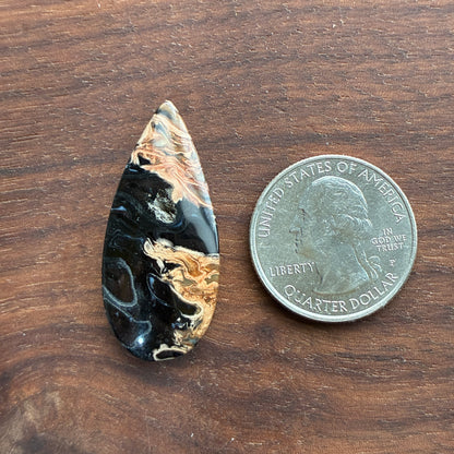 Indonesia Palm Root - Cabochon - Oval - Teardrop - Triangle - Round