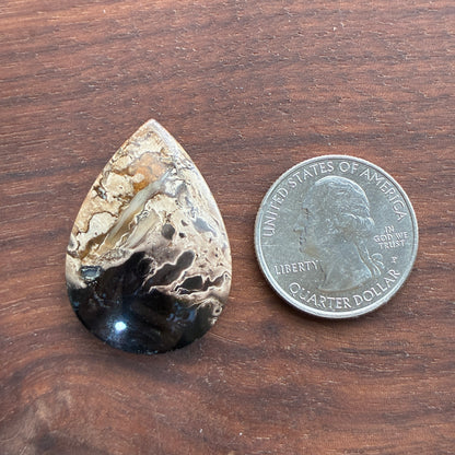 Indonesia Palm Root - Cabochon - Oval - Teardrop - Triangle - Round