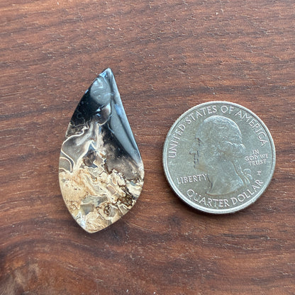 Indonesia Palm Root - Cabochon - Oval - Teardrop - Triangle - Round