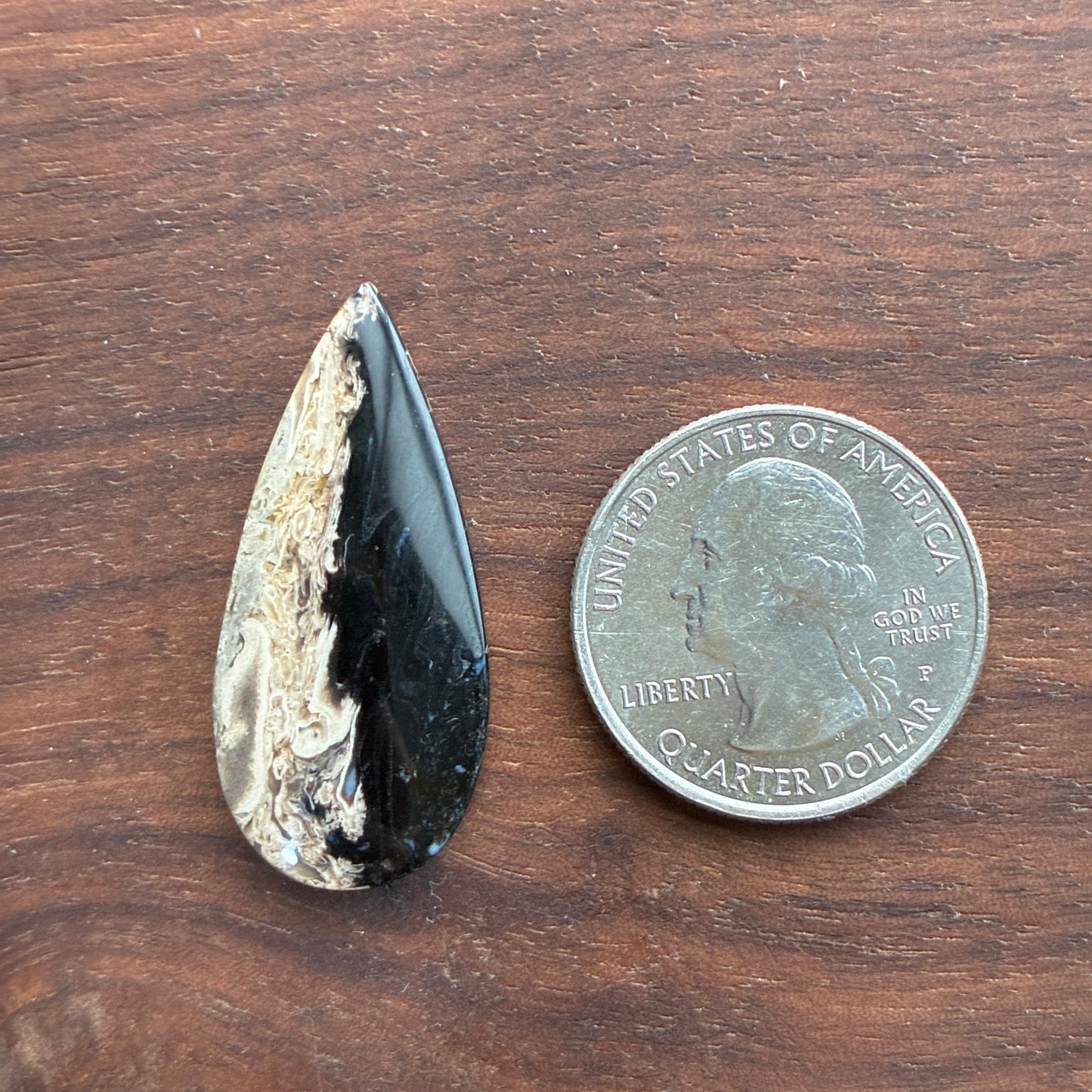 Indonesia Palm Root - Cabochon - Oval - Teardrop - Triangle - Round