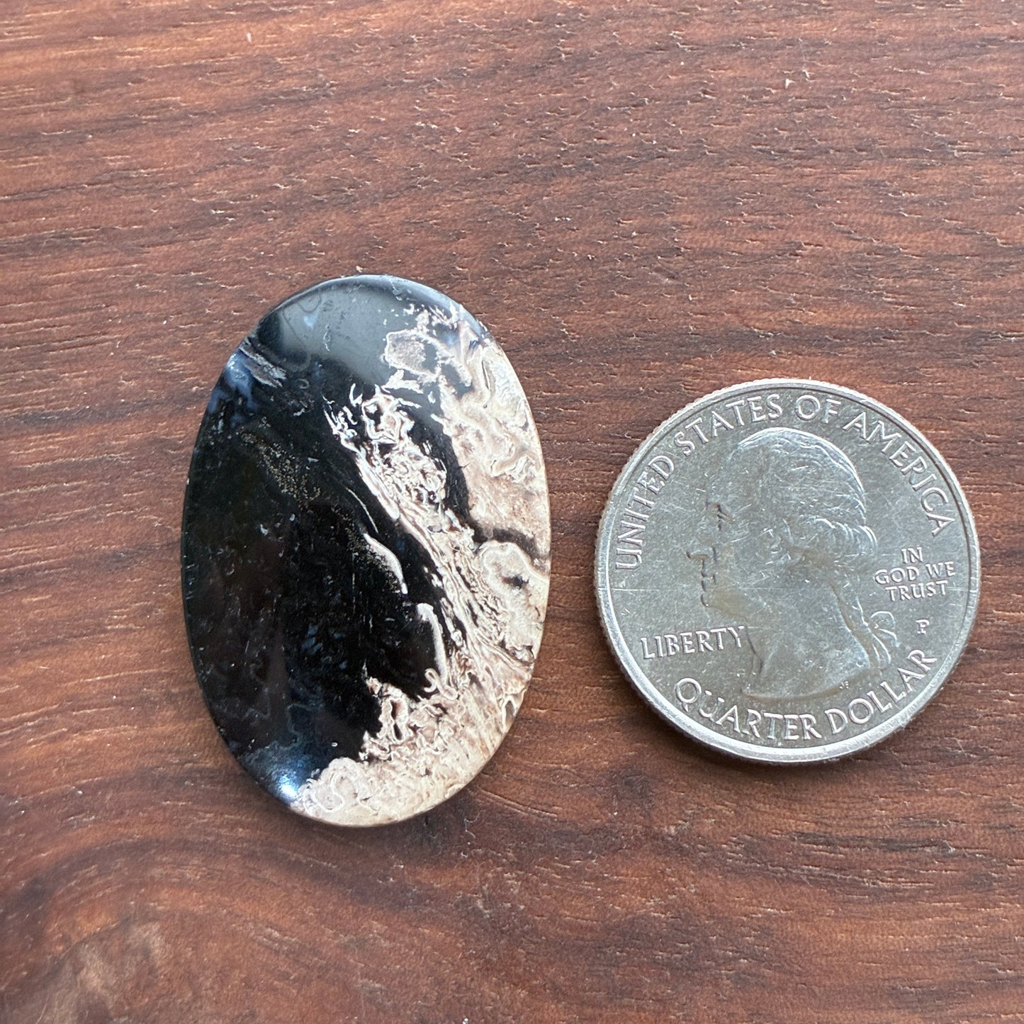 Indonesia Palm Root - Cabochon - Oval - Teardrop - Triangle - Round