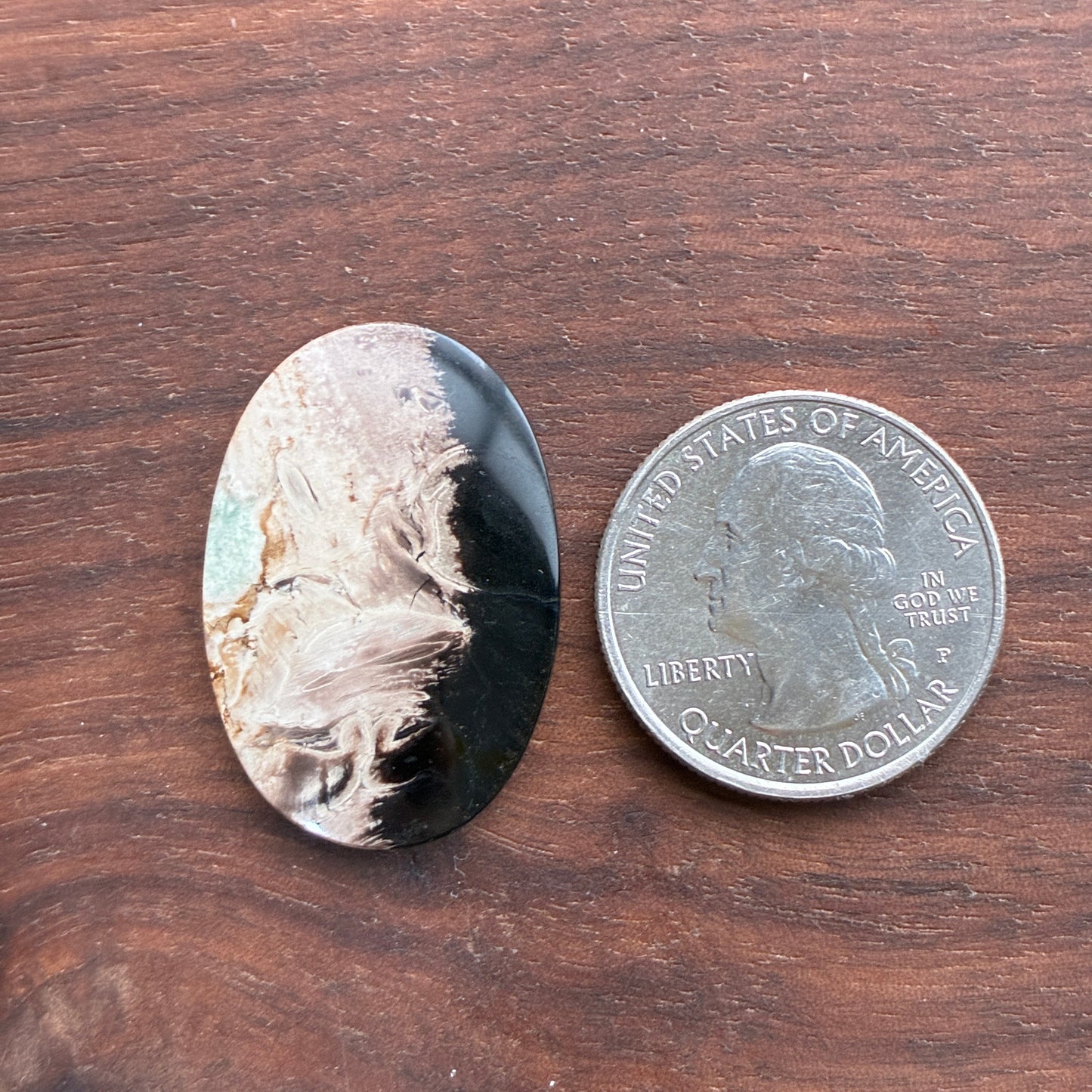 Indonesia Palm Root - Cabochon - Oval - Teardrop - Triangle - Round