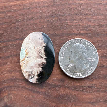 Indonesia Palm Root - Cabochon - Oval - Teardrop - Triangle - Round