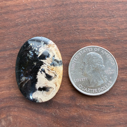 Indonesia Palm Root - Cabochon - Oval - Teardrop - Triangle - Round