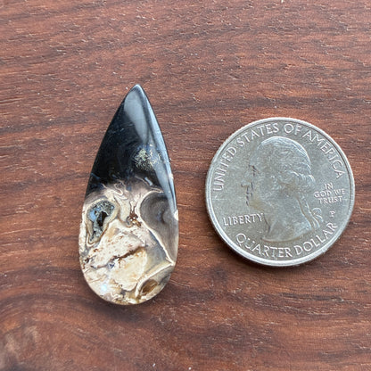Indonesia Palm Root - Cabochon - Oval - Teardrop - Triangle - Round