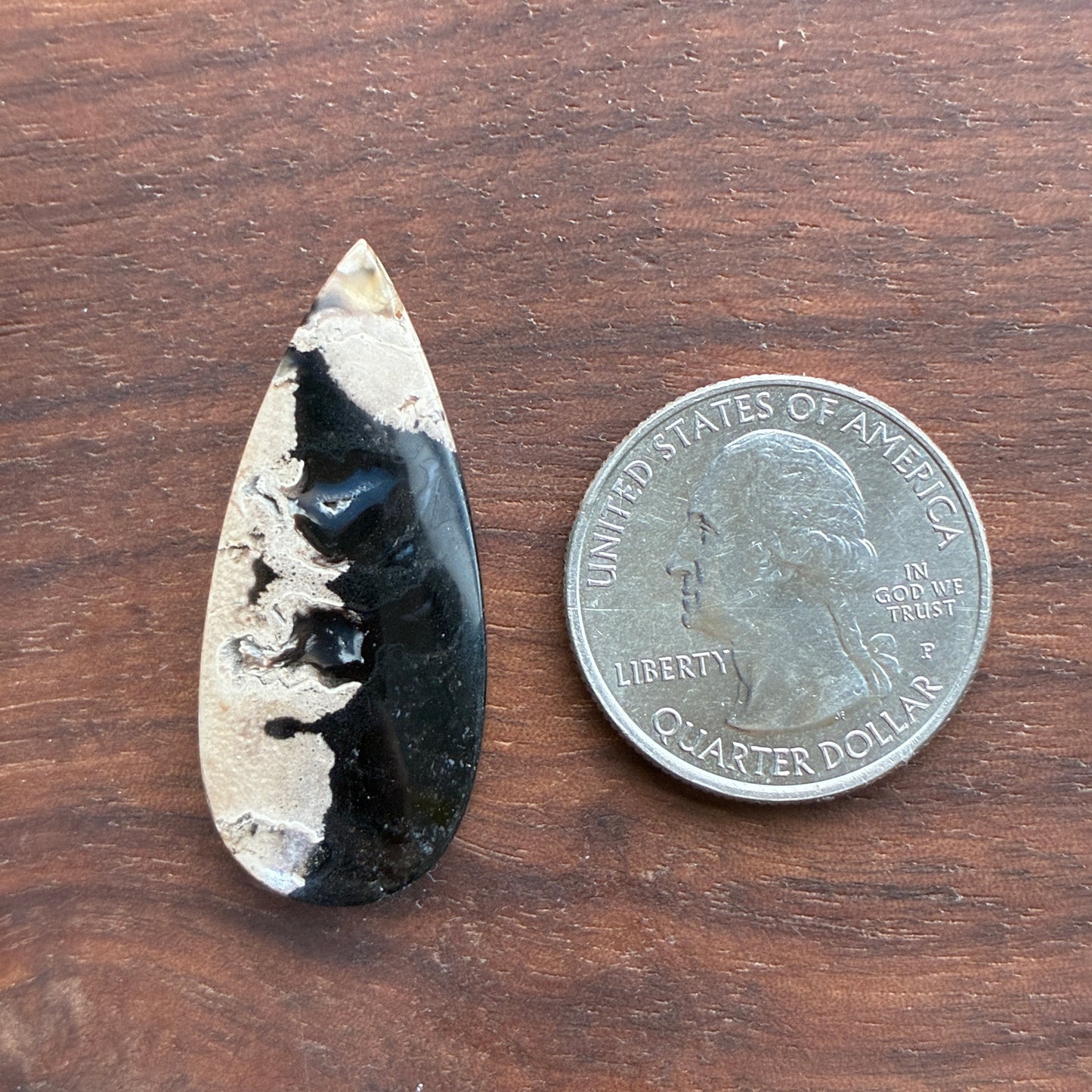 Indonesia Palm Root - Cabochon - Oval - Teardrop - Triangle - Round