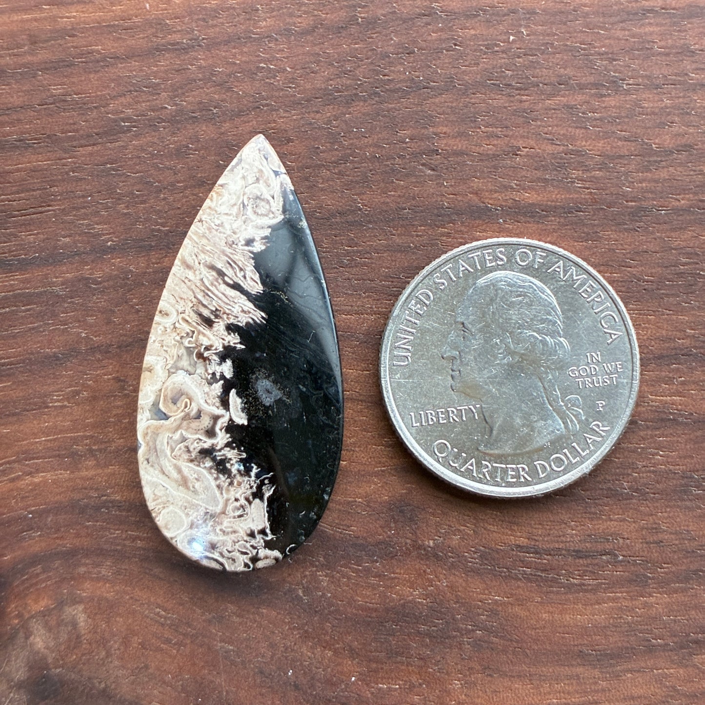 Indonesia Palm Root - Cabochon - Oval - Teardrop - Triangle - Round