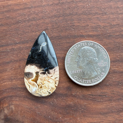 Indonesia Palm Root - Cabochon - Oval - Teardrop - Triangle - Round