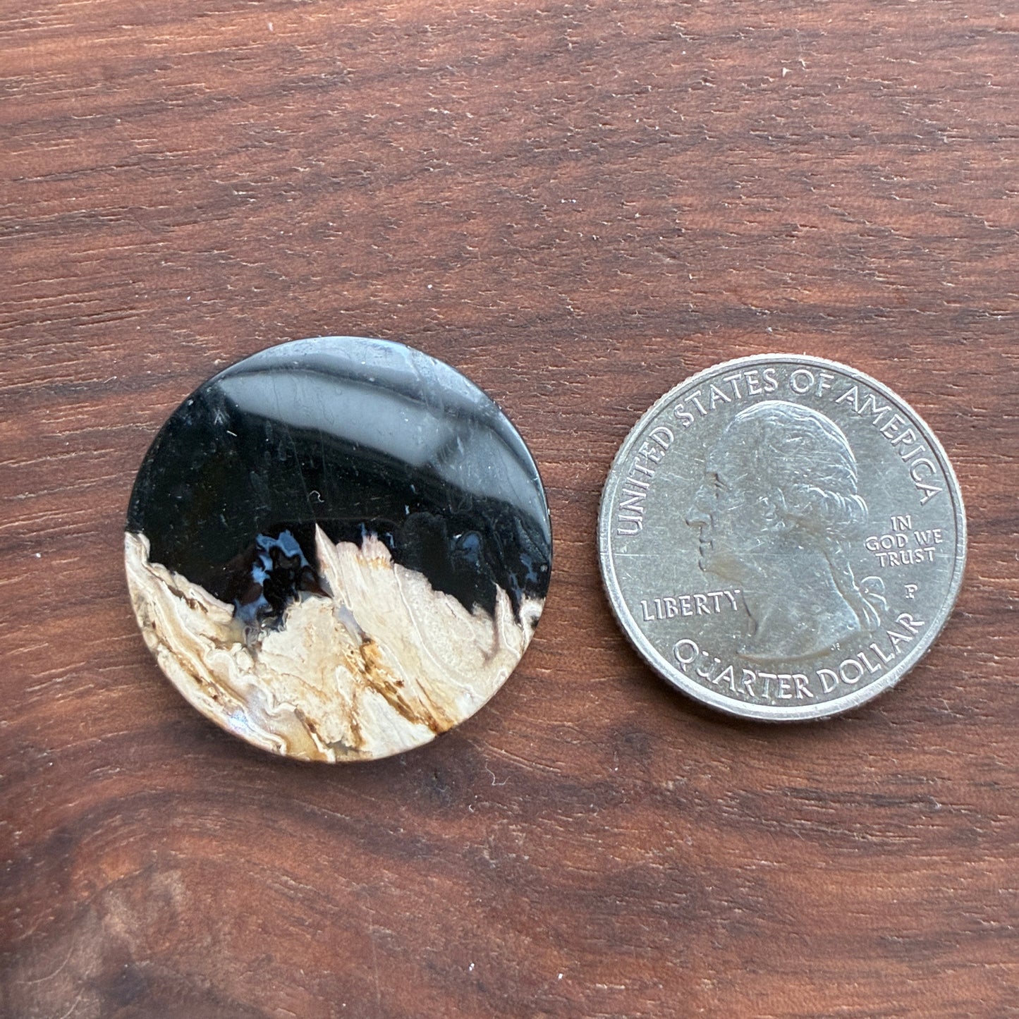 Indonesia Palm Root - Cabochon - Oval - Teardrop - Triangle - Round