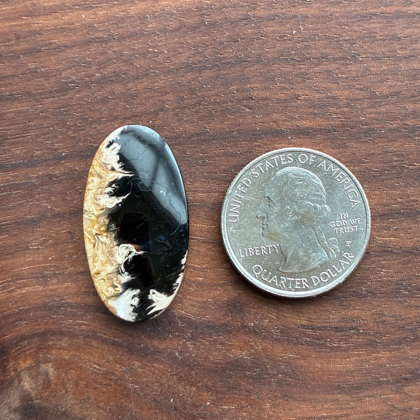 Indonesia Palm Root - Cabochon - Oval - Teardrop - Triangle - Round