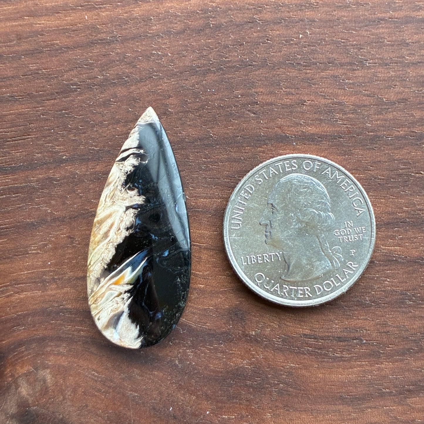 Indonesia Palm Root - Cabochon - Oval - Teardrop - Triangle - Round