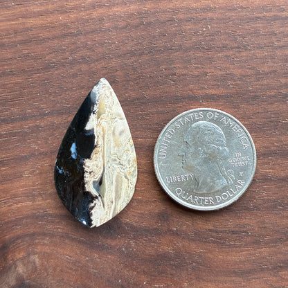 Indonesia Palm Root - Cabochon - Oval - Teardrop - Triangle - Round