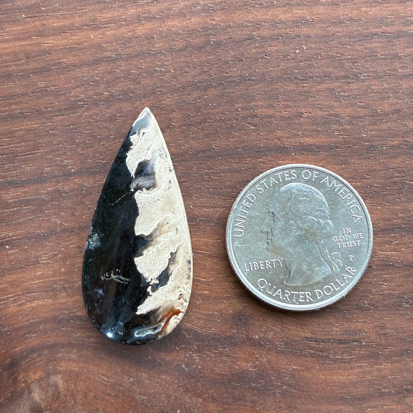 Indonesia Palm Root - Cabochon - Oval - Teardrop - Triangle - Round