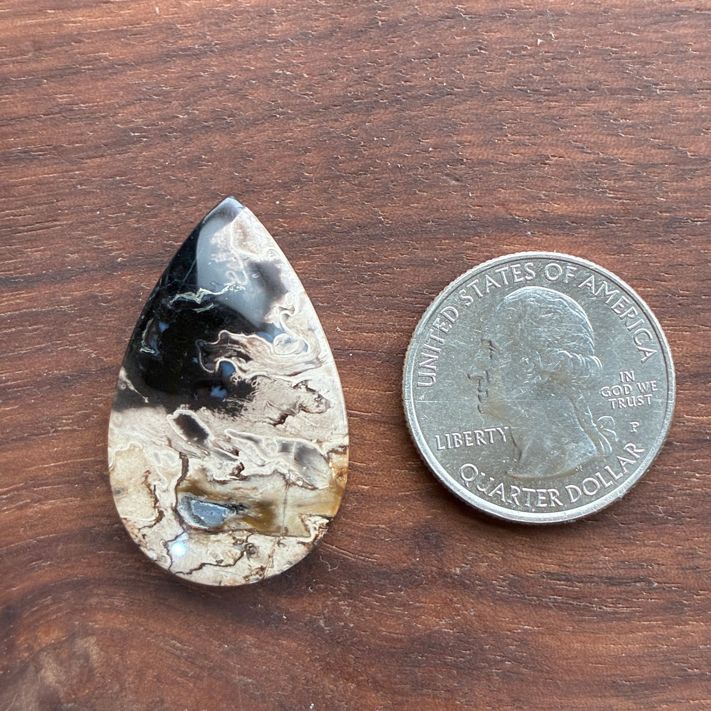 Indonesia Palm Root - Cabochon - Oval - Teardrop - Triangle - Round