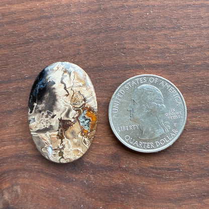 Indonesia Palm Root - Cabochon - Oval - Teardrop - Triangle - Round