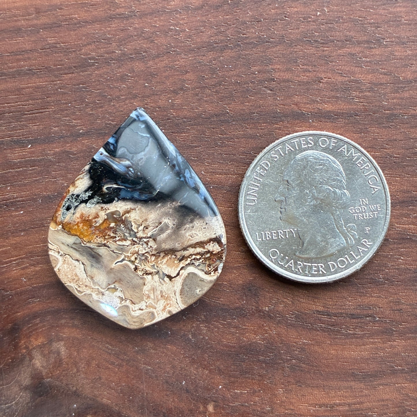 Indonesia Palm Root - Cabochon - Oval - Teardrop - Triangle - Round