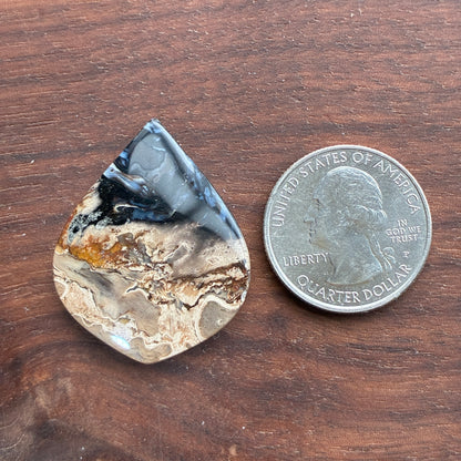 Indonesia Palm Root - Cabochon - Oval - Teardrop - Triangle - Round