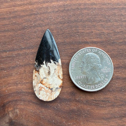 Indonesia Palm Root - Cabochon - Oval - Teardrop - Triangle - Round