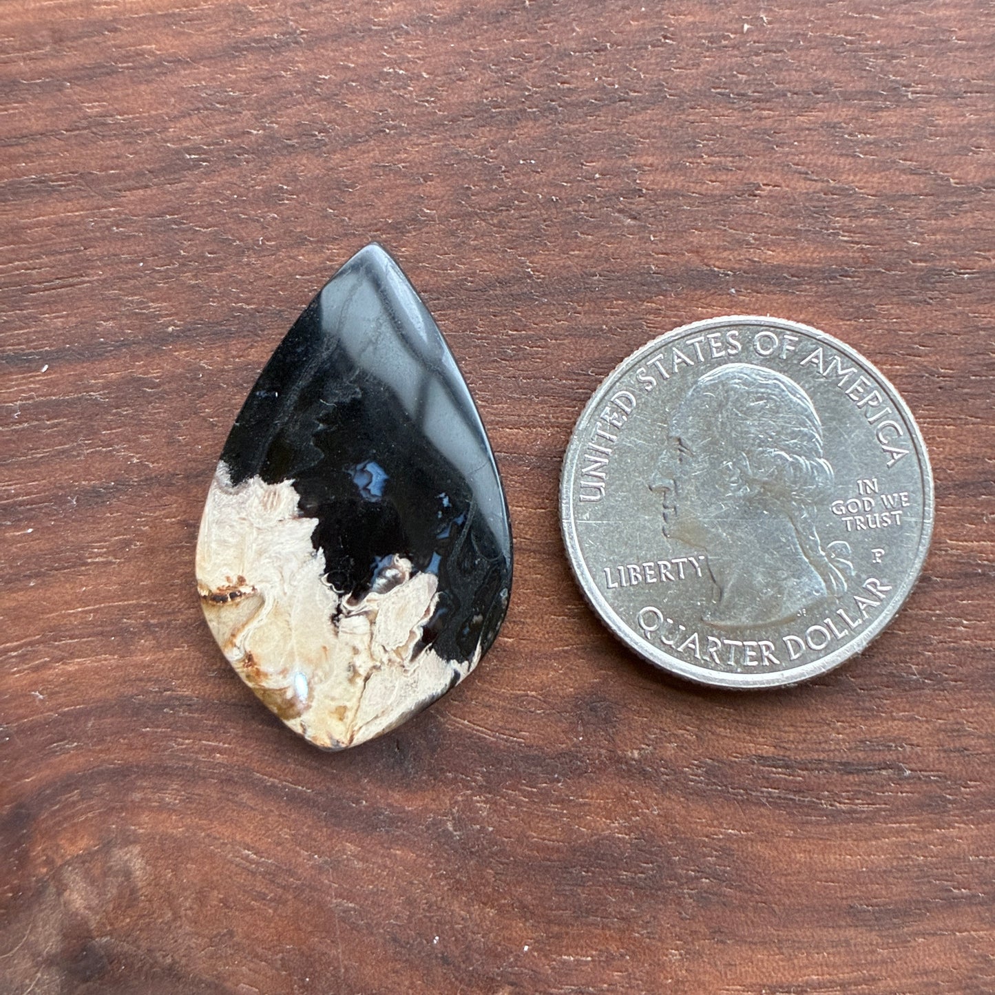 Indonesia Palm Root - Cabochon - Oval - Teardrop - Triangle - Round
