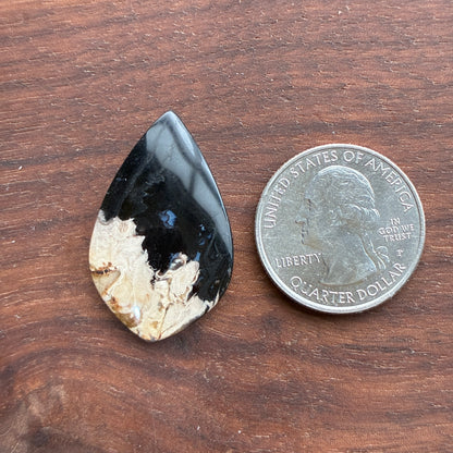 Indonesia Palm Root - Cabochon - Oval - Teardrop - Triangle - Round