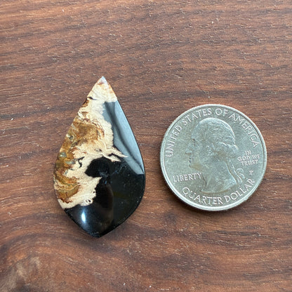 Indonesia Palm Root - Cabochon - Oval - Teardrop - Triangle - Round