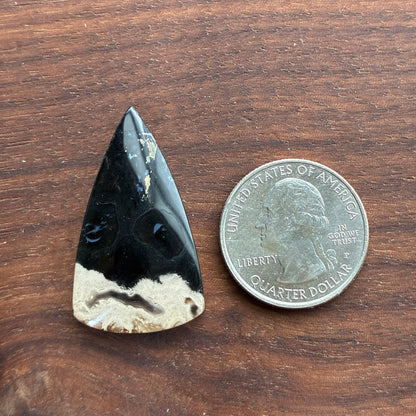 Indonesia Palm Root - Cabochon - Oval - Teardrop - Triangle - Round