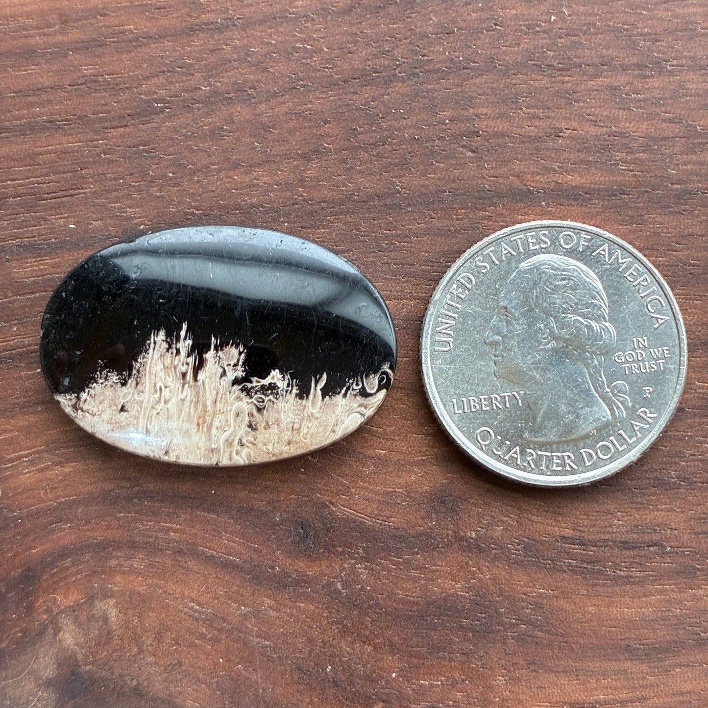 Indonesia Palm Root - Cabochon - Oval - Teardrop - Triangle - Round