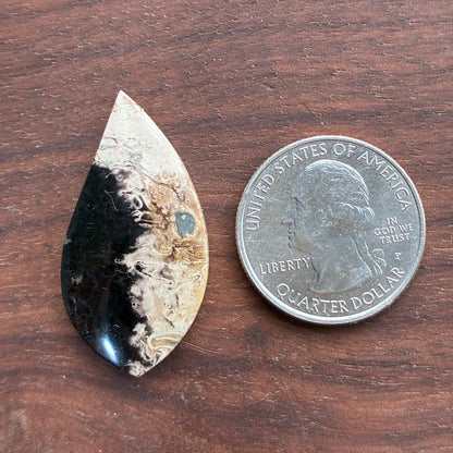 Indonesia Palm Root - Cabochon - Oval - Teardrop - Triangle - Round