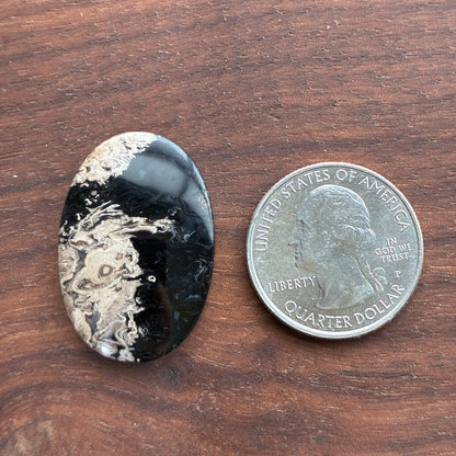 Indonesia Palm Root - Cabochon - Oval - Teardrop - Triangle - Round