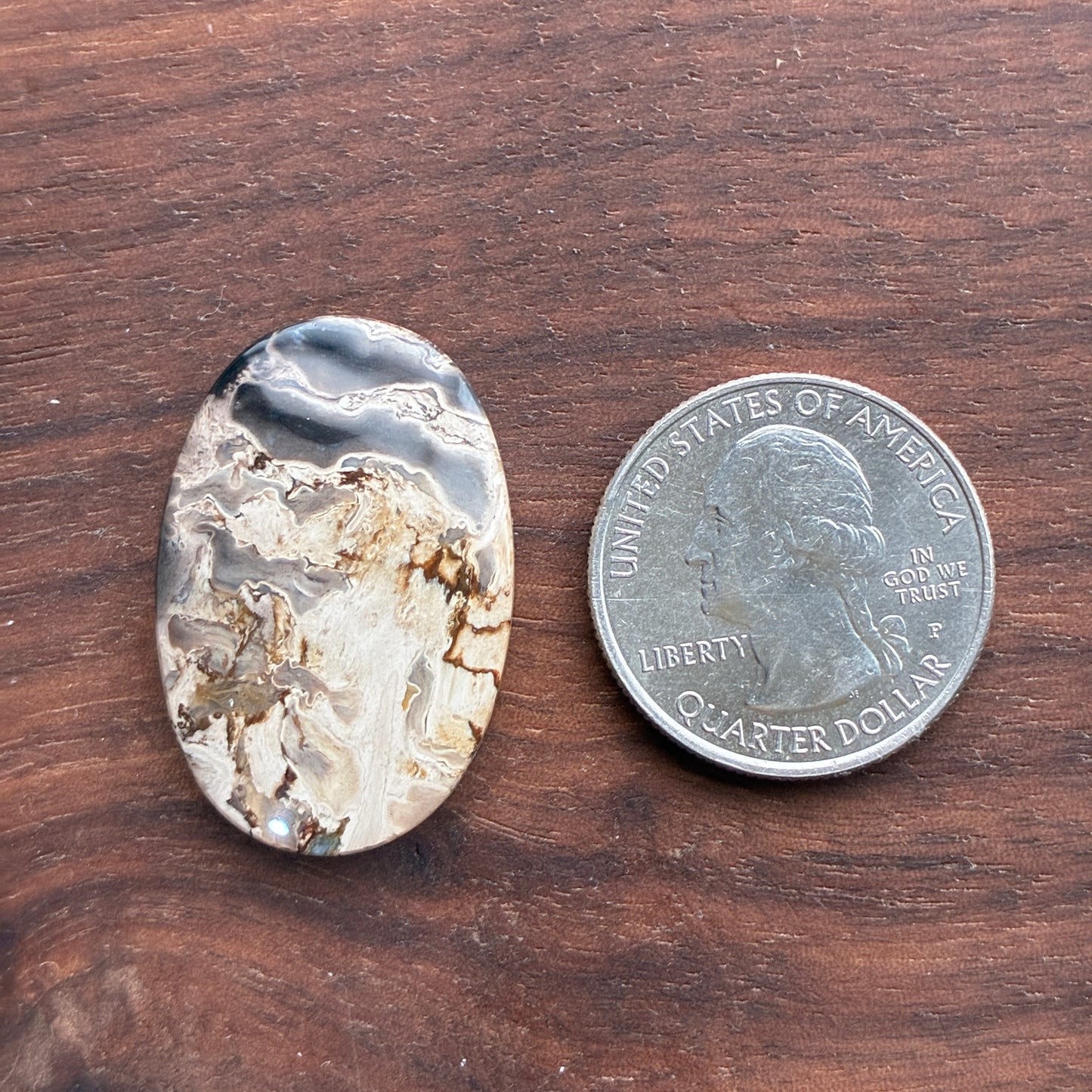 Indonesia Palm Root - Cabochon - Oval - Teardrop - Triangle - Round