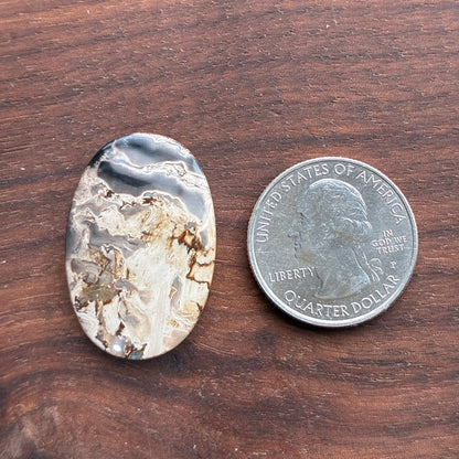 Indonesia Palm Root - Cabochon - Oval - Teardrop - Triangle - Round