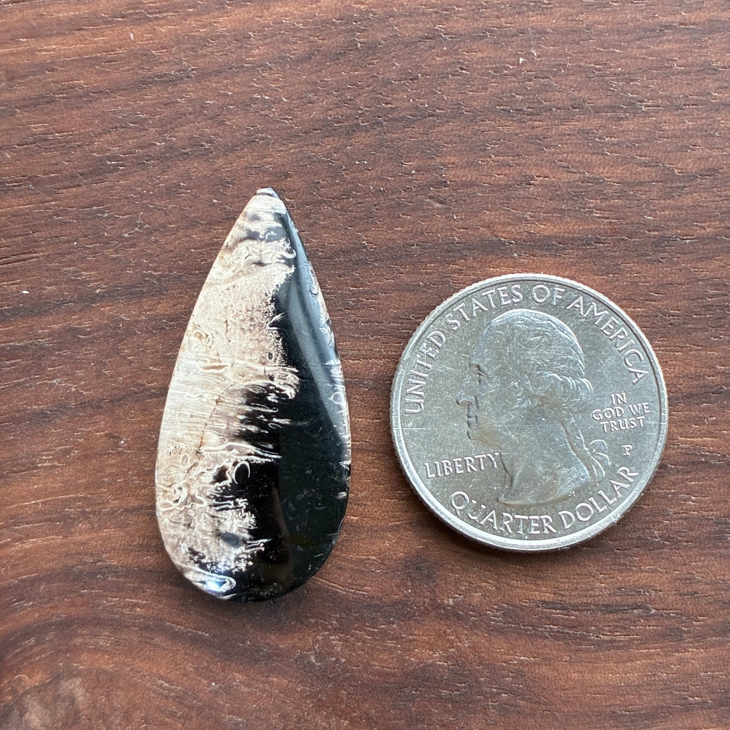 Indonesia Palm Root - Cabochon - Oval - Teardrop - Triangle - Round