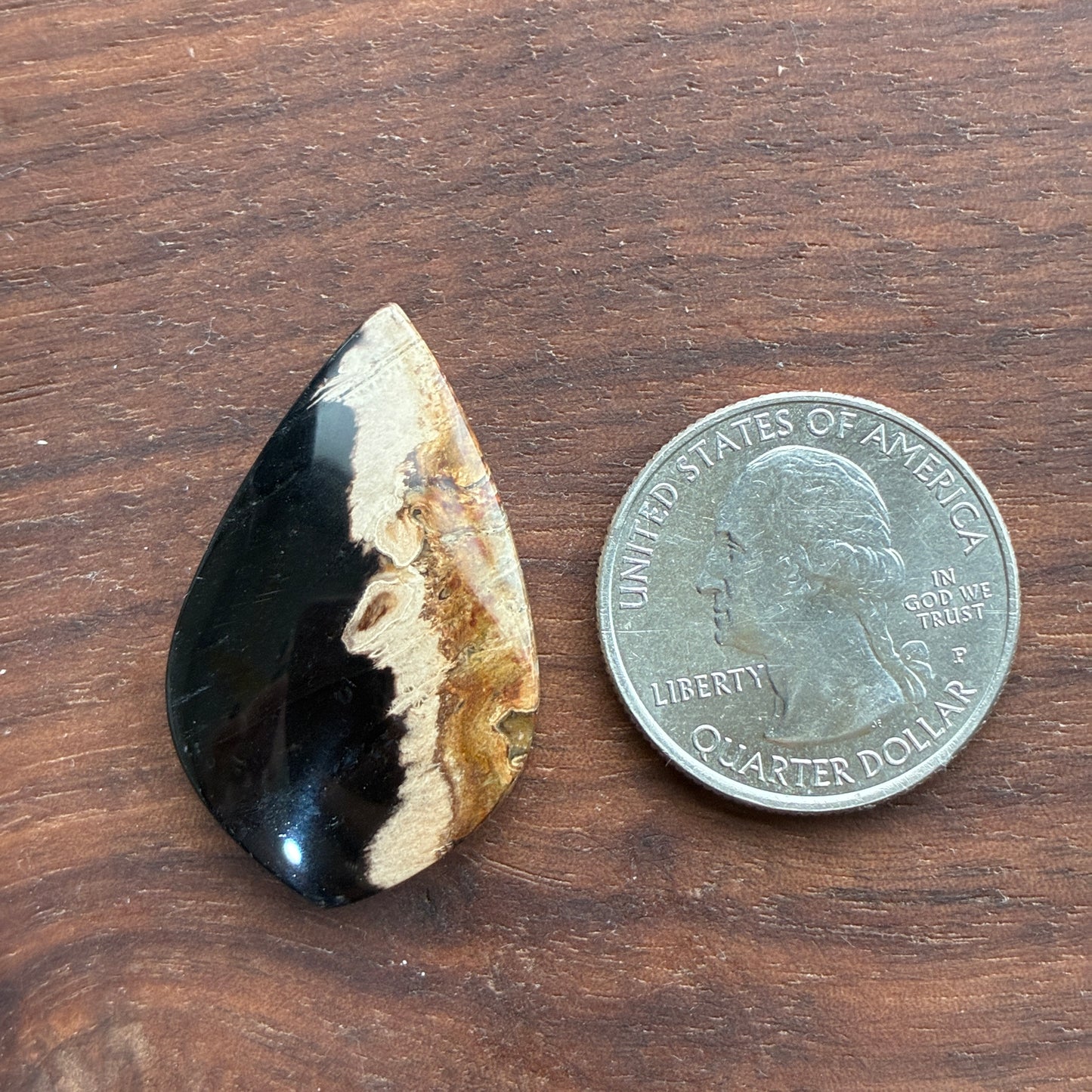 Indonesia Palm Root - Cabochon - Oval - Teardrop - Triangle - Round