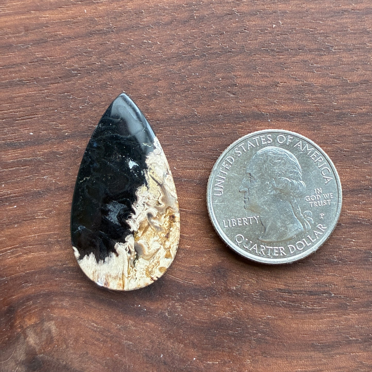 Indonesia Palm Root - Cabochon - Oval - Teardrop - Triangle - Round