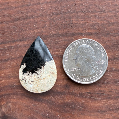 Indonesia Palm Root - Cabochon - Oval - Teardrop - Triangle - Round