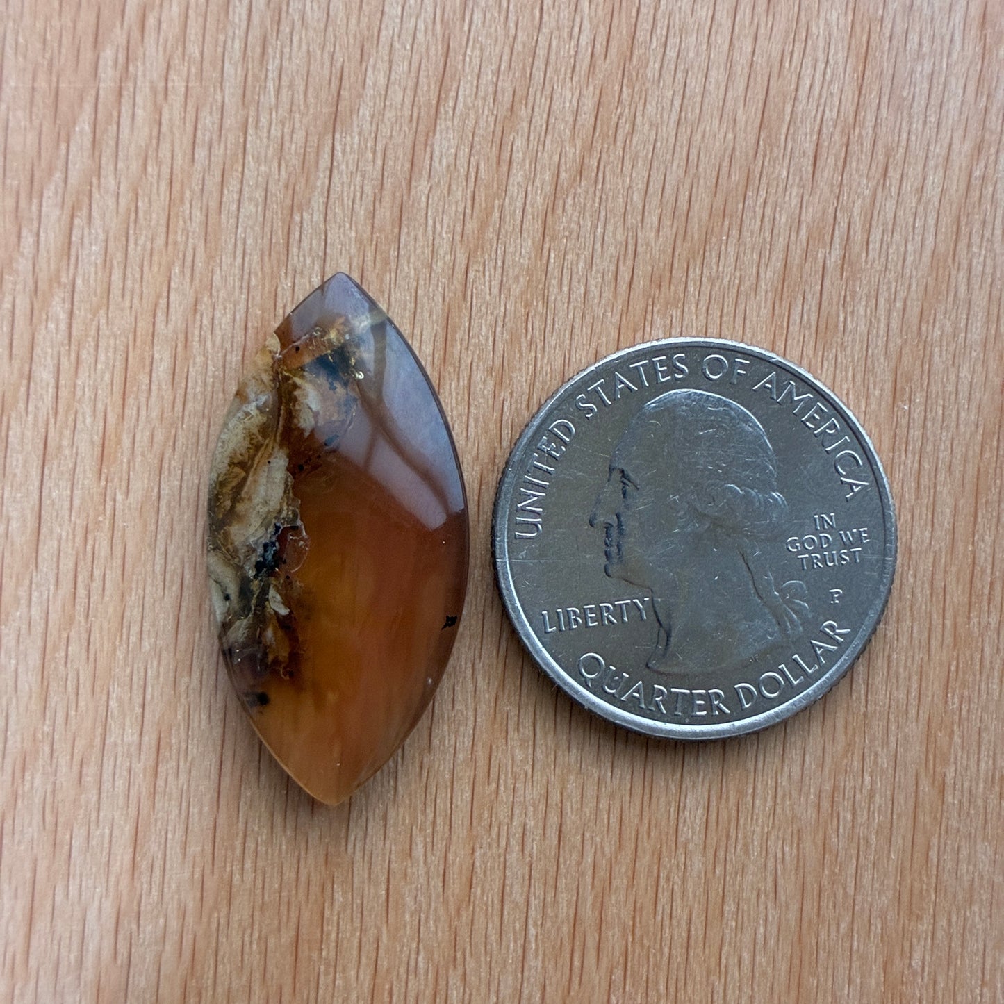 Indonesia Grass Amber - Cabochon - Moon - Teardrop - Oval - Round