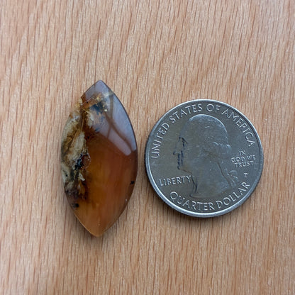 Indonesia Grass Amber - Cabochon - Moon - Teardrop - Oval - Round