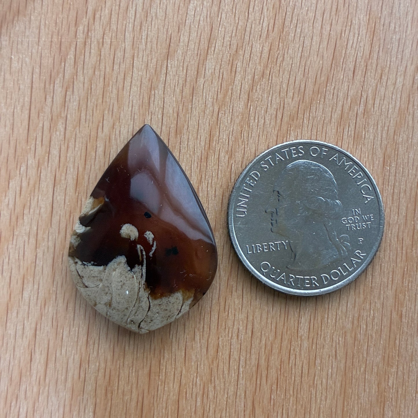 Indonesia Grass Amber - Cabochon - Moon - Teardrop - Oval - Round