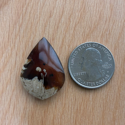 Indonesia Grass Amber - Cabochon - Moon - Teardrop - Oval - Round