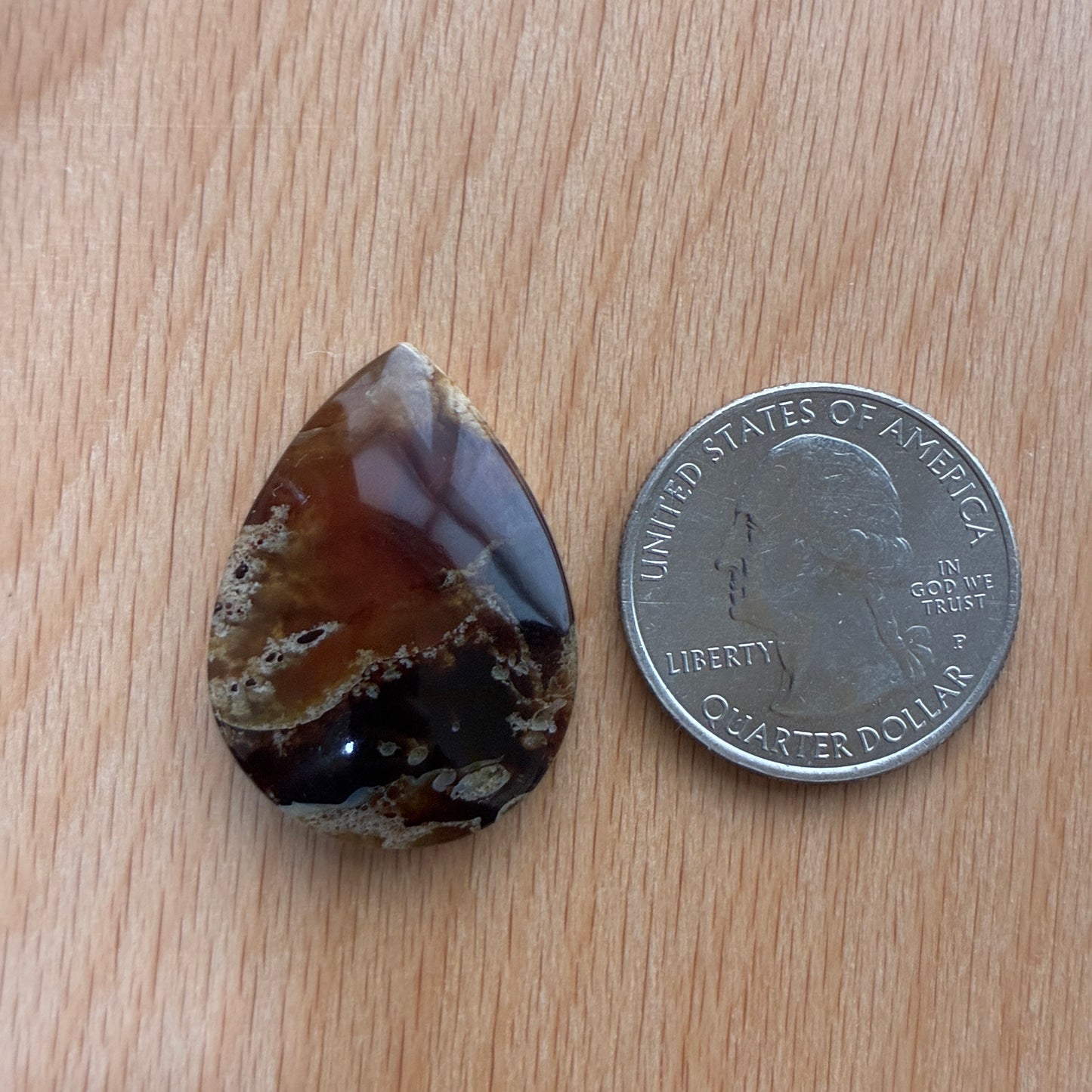 Indonesia Grass Amber - Cabochon - Moon - Teardrop - Oval - Round