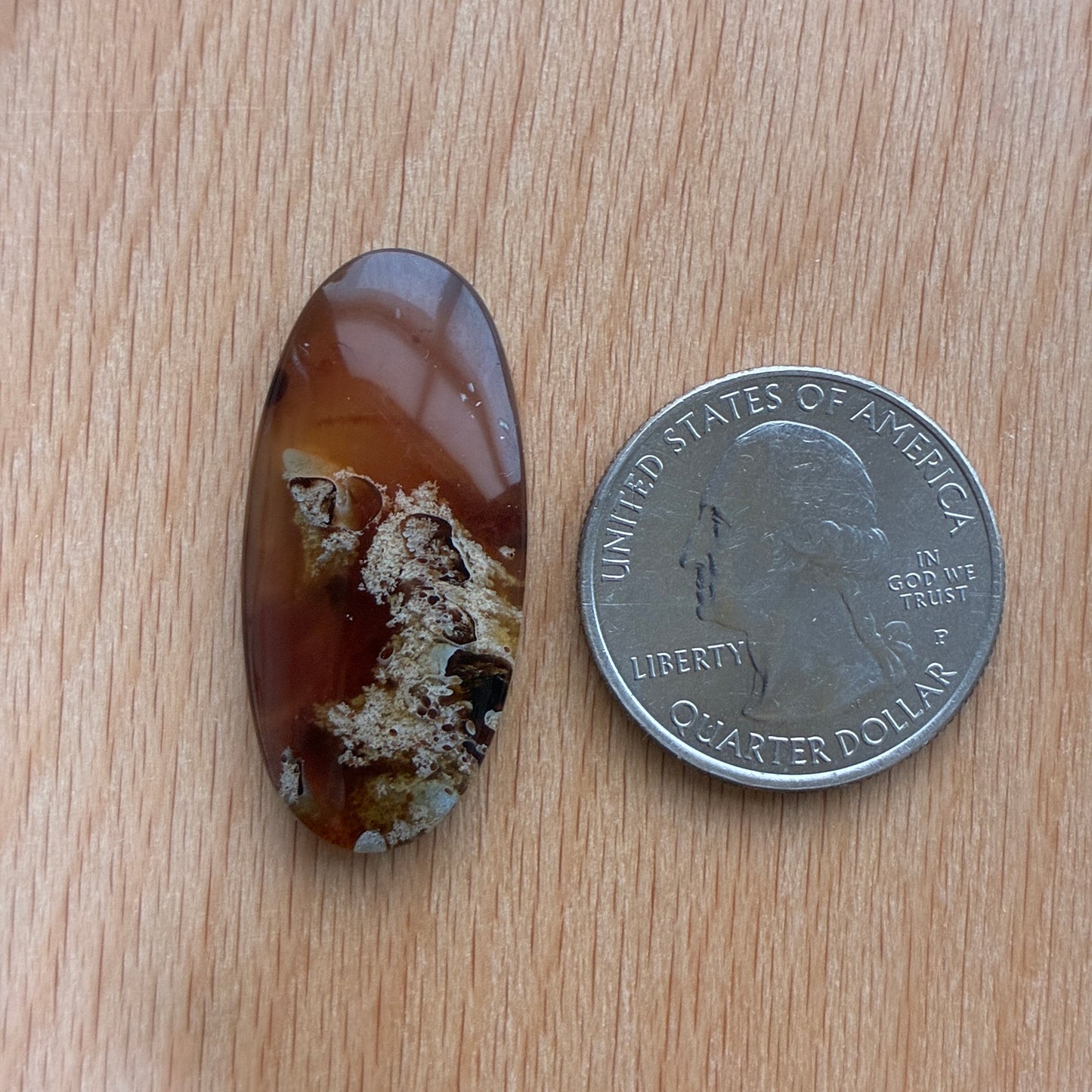 Indonesia Grass Amber - Cabochon - Moon - Teardrop - Oval - Round