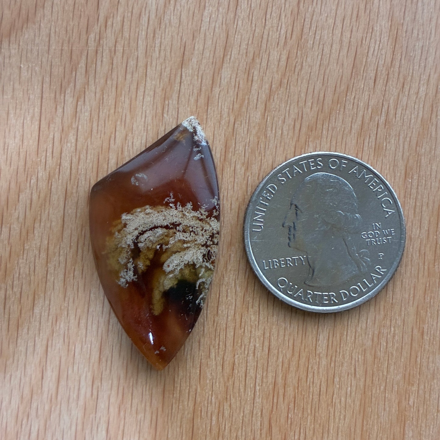 Indonesia Grass Amber - Cabochon - Moon - Teardrop - Oval - Round