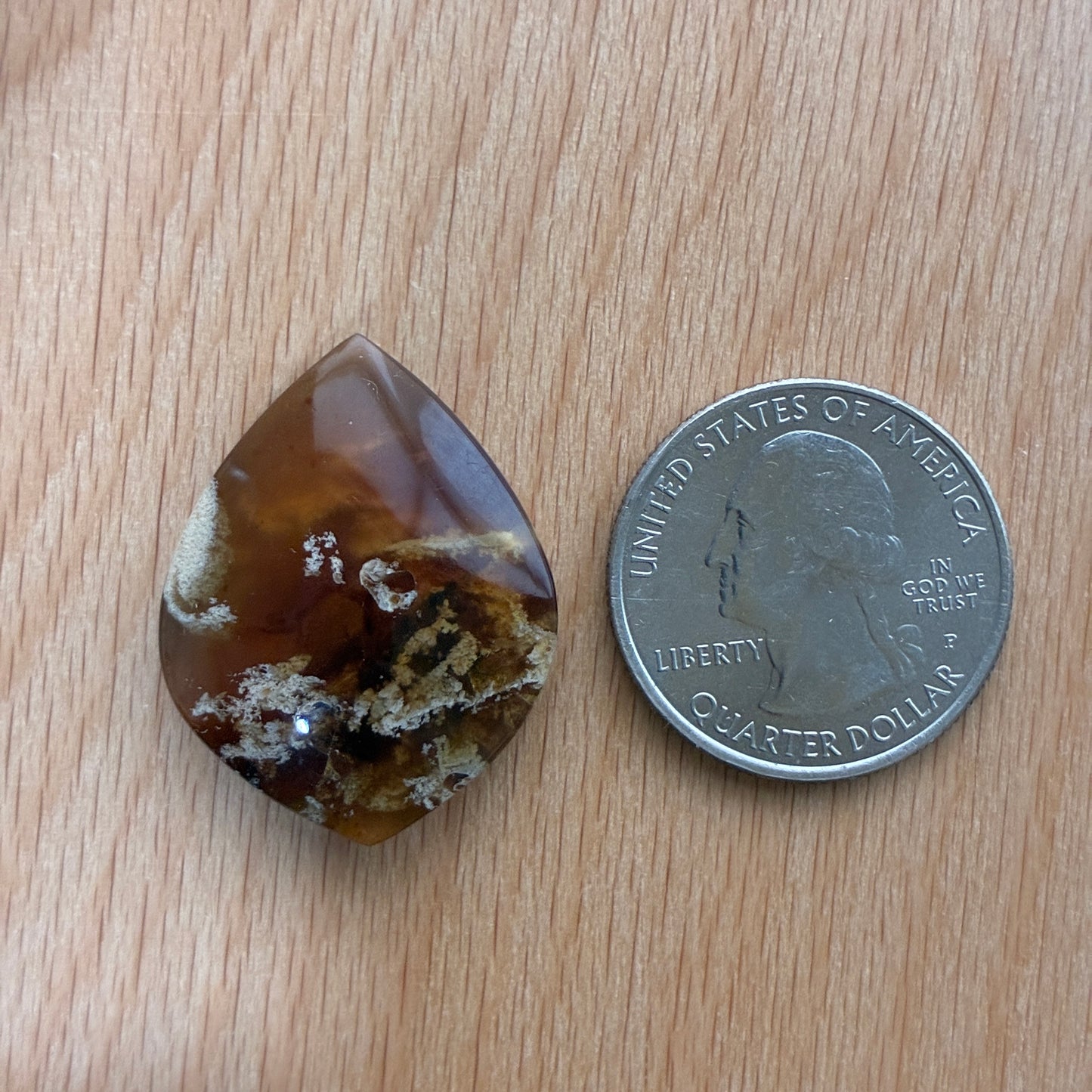 Indonesia Grass Amber - Cabochon - Moon - Teardrop - Oval - Round