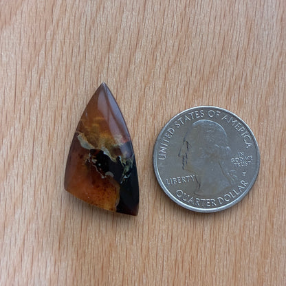 Indonesia Grass Amber - Cabochon - Moon - Teardrop - Oval - Round