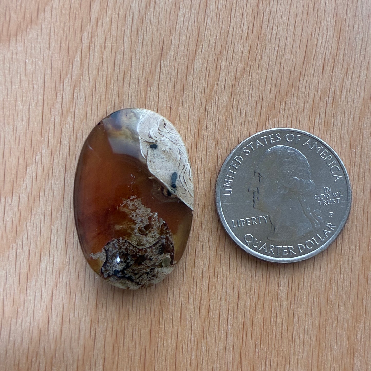 Indonesia Grass Amber - Cabochon - Moon - Teardrop - Oval - Round