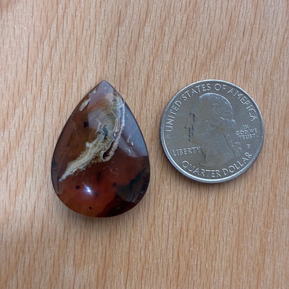 Indonesia Grass Amber - Cabochon - Moon - Teardrop - Oval - Round
