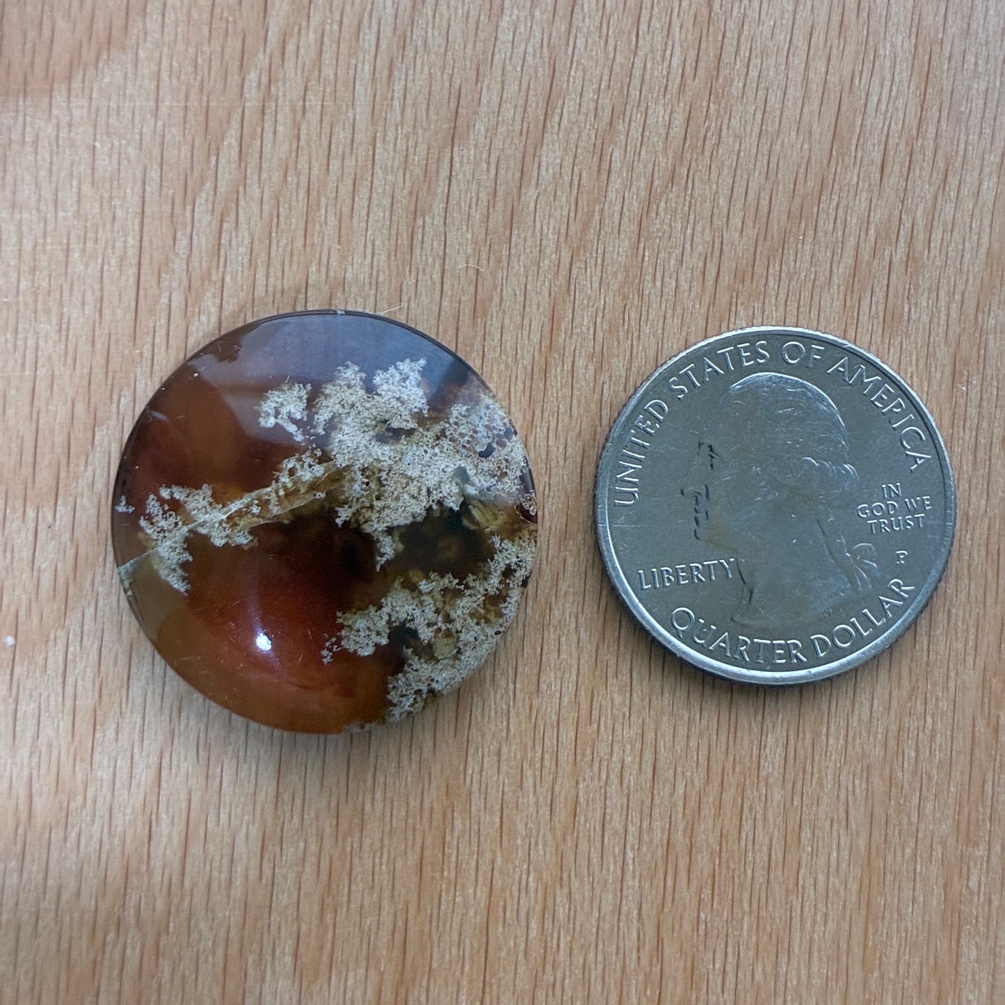 Indonesia Grass Amber - Cabochon - Moon - Teardrop - Oval - Round